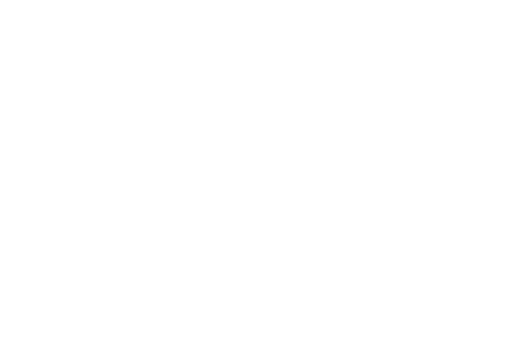 Logo client Intersport