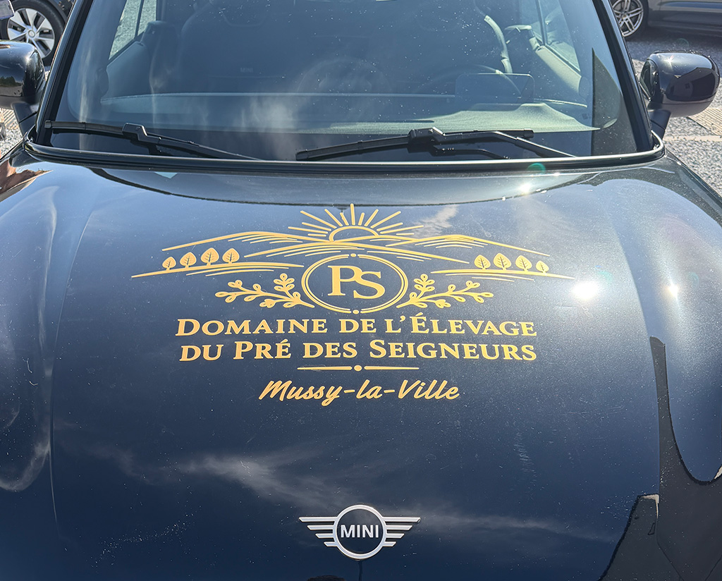 lettrage-teinté-masse-voiture-vehicule-musson-mussy-la-ville-03 Nous avons réalisé le semi-covering de l'utilitaire de notre cliente à Saint-Leger • Belgique
